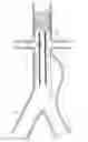 Fig. 01 - Fenestrated prosthesis