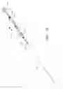 Fig. 34 - Fenestrated prosthesis