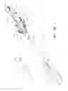 Fig. 35 - Fenestrated prosthesis