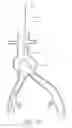 Fig. 41 - Fenestrated prosthesis