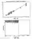 Fig. 22 - On-site analysis system with central processor and method of analyzing