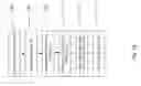 Fig. 19 - UTILIZING USER TRANSMITTED TEXT TO IMPROVE LANGUAGE MODEL IN MOBILE DICTATION APPLICATION