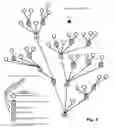 Fig. 03 - Methods for Providing Network Marketing and Revenue Sharing to Participants of an Electronic Marketplace System