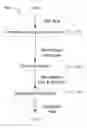 Fig. 01 - JOIN ORDER OPTIMIZATION IN A QUERY OPTIMIZER FOR QUERIES WITH OUTER AND/OR SEMI JOINS
