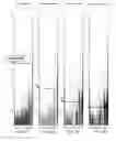 Fig. 08 - Robust Adaptive Data Clustering in Evolving Environments