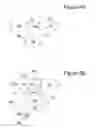 Fig. 09 - System and method for transmission of telescopic advertising