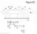 Fig. 10 - System and method for transmission of telescopic advertising