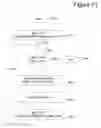Fig. 13 - System and method for transmission of telescopic advertising