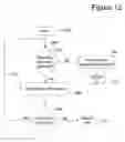 Fig. 14 - System and method for transmission of telescopic advertising