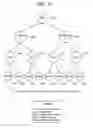 Fig. 06 - Domain based workflows