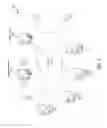 Fig. 02 - Method and system for tunable distribution of content