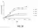Fig. 07 - Chd5 is a novel tumor suppressor gene