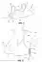 Fig. 02 - Woman's garment with side closure devices