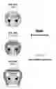 Fig. 07 - U Shape Toothbrush