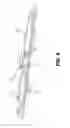 Fig. 06 - Boneless wiper blade