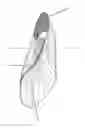 Fig. 01 - Footwear
