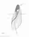 Fig. 02 - Footwear