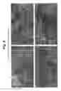 Fig. 06 - Algal coal and process for preparing same