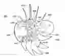 Fig. 01 - Ultra-efficient propulsor with an augmentor fan circumscribing a turbofan