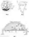 Fig. 03 - Jewelry piece or ring