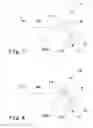 Fig. 08 - Method and knitting machine for the production of knitted goods with horizontal stripe patterns