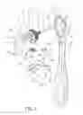 Fig. 02 - Push-type ratchet wrench