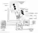 Fig. 01 - POLARITY SEQUENCED ELECTRO MAGNETIC HEAD GASKET ENGINE AND REPLACEMENT KIT