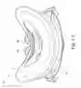 Fig. 04 - Cushion for mask system