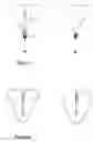 Fig. 03 - INTRAUTERINE SYSTEM