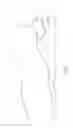 Fig. 06 - Intubation Pillow