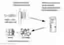 Fig. 01 - HYBRID NANOCOMPOSITE