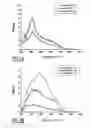 Fig. 08 - HYBRID NANOCOMPOSITE