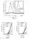 Fig. 06 - PASSIVATING LAYER FOR PHOTOVOLTAIC CELLS