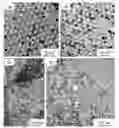 Fig. 01 - NANOPARTICLES AND METHODS OF MAKING AND USING