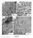 Fig. 06 - NANOPARTICLES AND METHODS OF MAKING AND USING