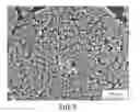 Fig. 08 - NANOPARTICLES AND METHODS OF MAKING AND USING