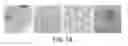 Fig. 20 - NANOPARTICLES AND METHODS OF MAKING AND USING