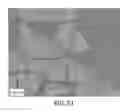 Fig. 22 - NANOPARTICLES AND METHODS OF MAKING AND USING
