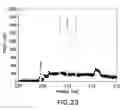 Fig. 24 - NANOPARTICLES AND METHODS OF MAKING AND USING