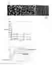 Fig. 02 - BRASS ALLOY POWDER, BRASS ALLOY EXTRUDED MATERIAL, AND METHOD FOR PRODUCING THE BRASS ALLOY EXTRUDED MATERIAL