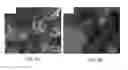 Fig. 04 - Flaky Powder for an Electromagnetic Wave Absorber, and Method for Producing Same
