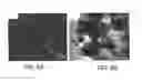 Fig. 06 - Flaky Powder for an Electromagnetic Wave Absorber, and Method for Producing Same