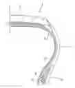 Fig. 01 - Polymer laminate and pneumatic tire using the same as inner liner