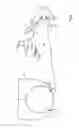 Fig. 03 - Device for dewatering a material web