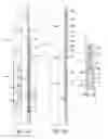 Fig. 02 - Removable hydraulic-set packer
