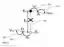 Fig. 03 - SYSTEM AND METHOD FOR DIRECT CONVERSION OF SOLAR ENERGY TO CHEMICAL ENERGY