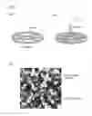 Fig. 02 - Transmission electron microscope, and method of observing specimen