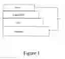 Fig. 02 - IONIC SALT COMBINATIONS IN POLYMER ELECTROLUMINESCENT INKS