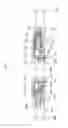 Fig. 02 - Display device and manufacturing method thereof