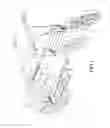 Fig. 02 - Electrically-extendible bicycle